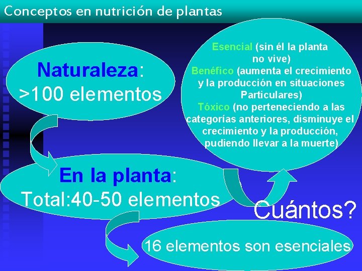 Conceptos en nutrición de plantas Naturaleza: >100 elementos Esencial (sin él la planta no