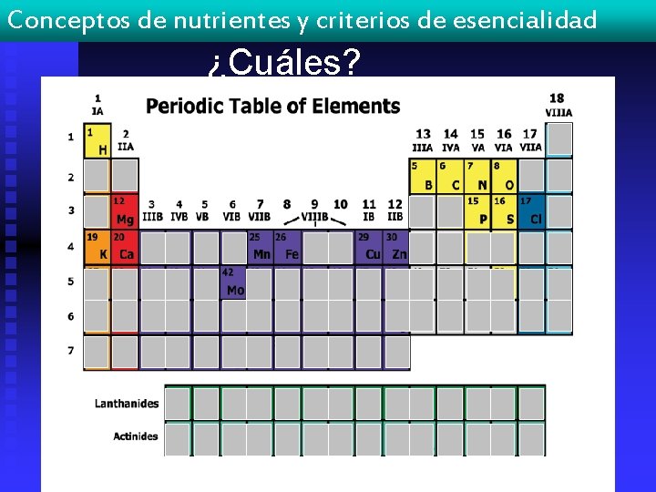 Conceptos de nutrientes y criterios de esencialidad ¿Cuáles? 