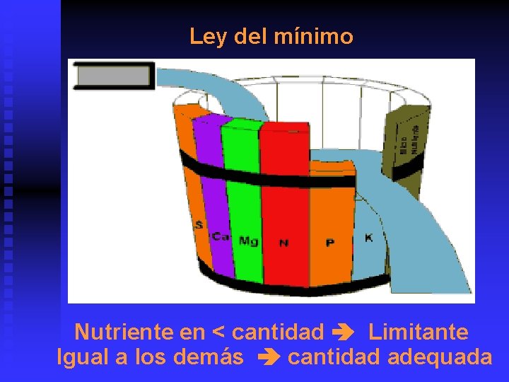 Ley del mínimo Nutriente en < cantidad Limitante Igual a los demás cantidad adequada