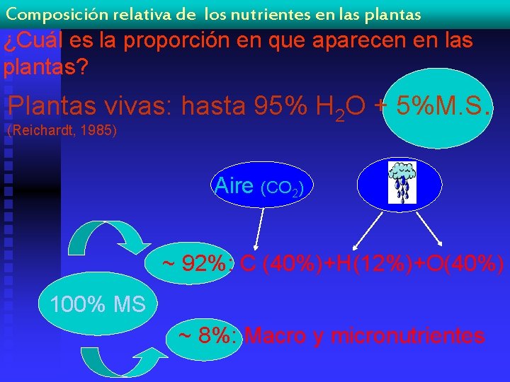 Composición relativa de los nutrientes en las plantas ¿Cuál es la proporción en que