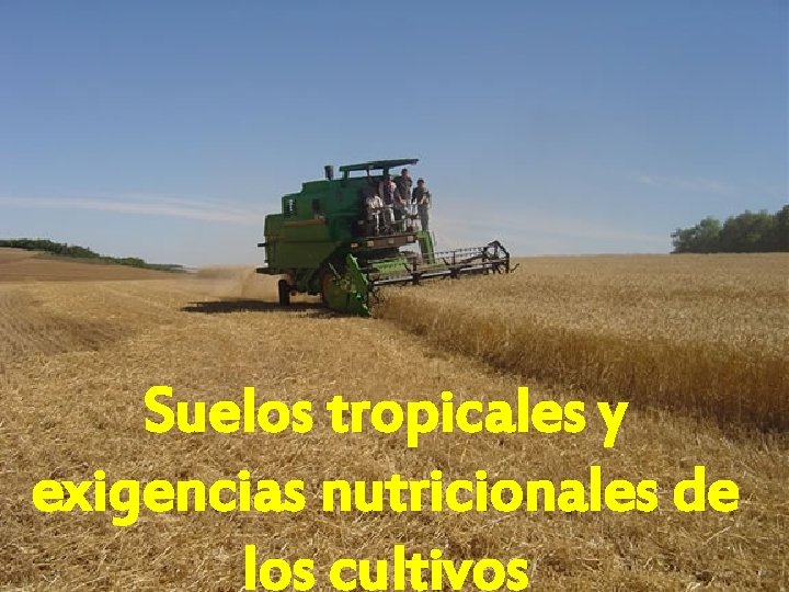 Suelos tropicales y exigencias nutricionales de los cultivos 