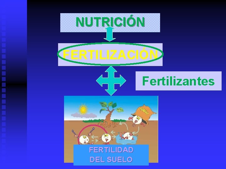 NUTRICIÓN FERTILIZACIÓN Fertilizantes FERTILIDAD DEL SUELO 