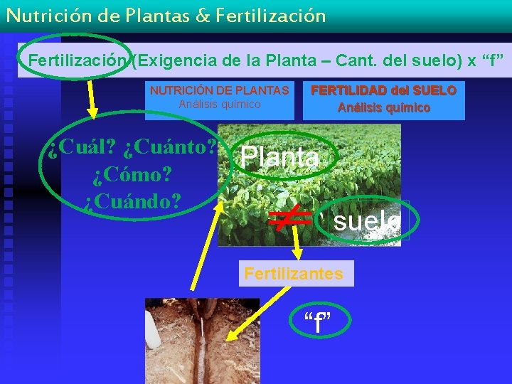 Nutrición de Plantas & Fertilización (Exigencia de la Planta – Cant. del suelo) x