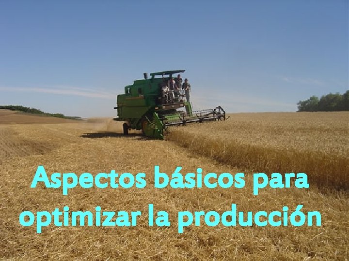 Aspectos básicos para optimizar la producción 