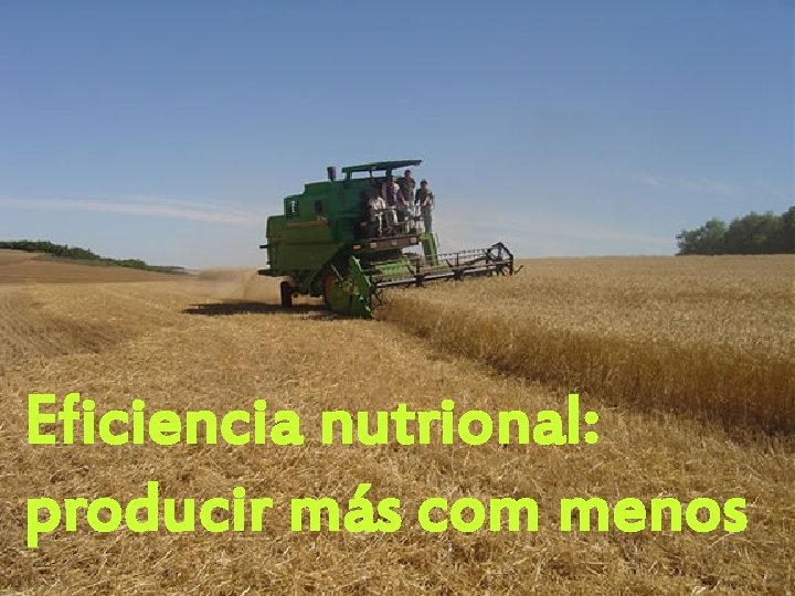 Eficiencia nutrional: producir más com menos 