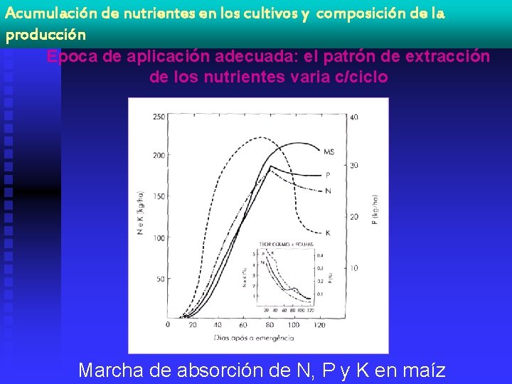 Acumulación de nutrientes en los cultivos y composición de la producción Época de aplicación
