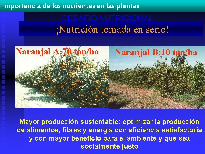 Importancia de los nutrientes en las plantas DESAFIO NUTRICIONAL ¡Nutrición tomada en serio! Naranjal