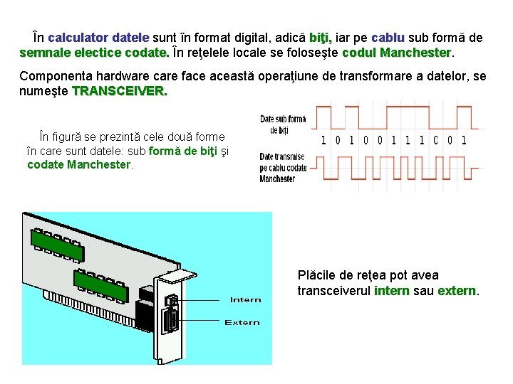 În calculator datele sunt în format digital, adică biţi, iar pe cablu sub formă