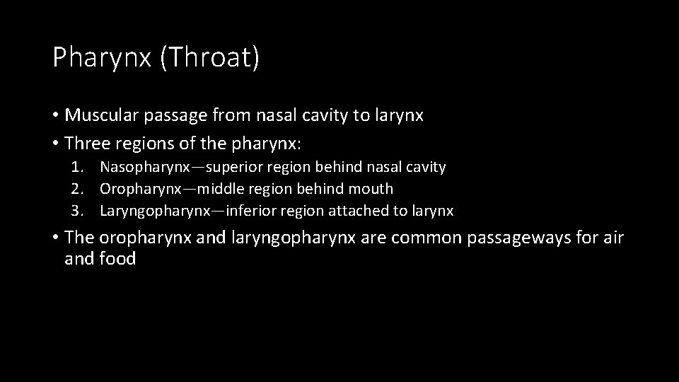 Pharynx (Throat) • Muscular passage from nasal cavity to larynx • Three regions of