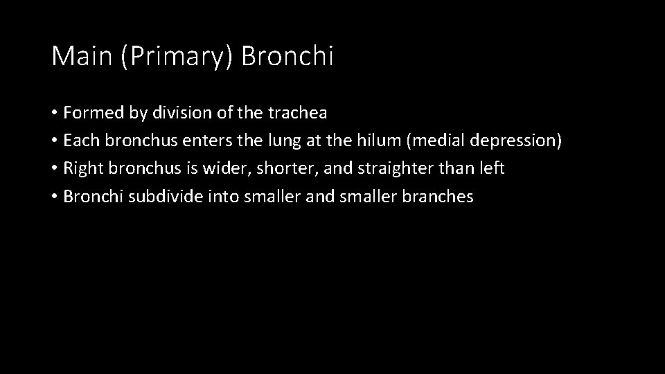 Main (Primary) Bronchi • Formed by division of the trachea • Each bronchus enters