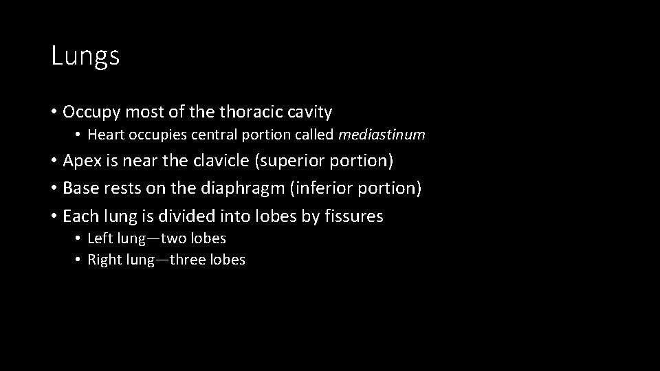 Lungs • Occupy most of the thoracic cavity • Heart occupies central portion called