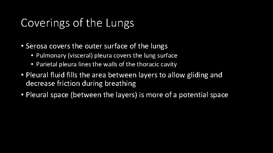 Coverings of the Lungs • Serosa covers the outer surface of the lungs •