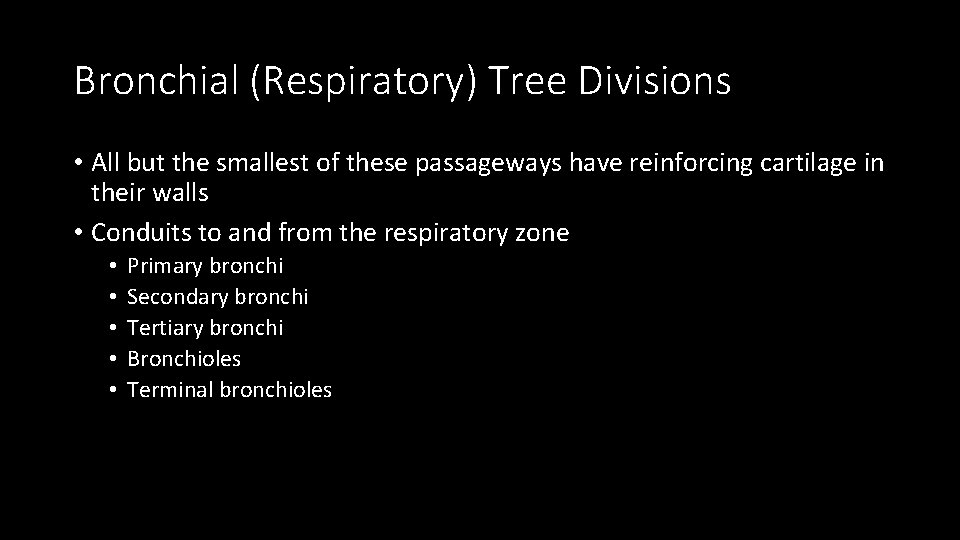 Bronchial (Respiratory) Tree Divisions • All but the smallest of these passageways have reinforcing