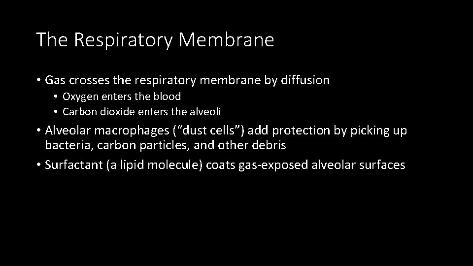 The Respiratory Membrane • Gas crosses the respiratory membrane by diffusion • Oxygen enters