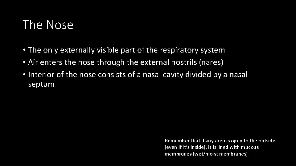 The Nose • The only externally visible part of the respiratory system • Air