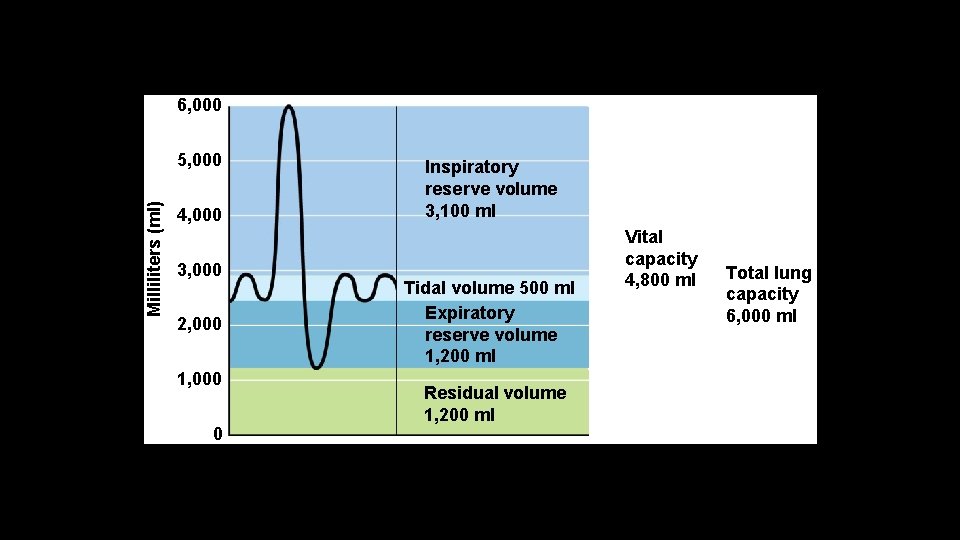 6, 000 Milliliters (ml) 5, 000 4, 000 3, 000 2, 000 1, 000