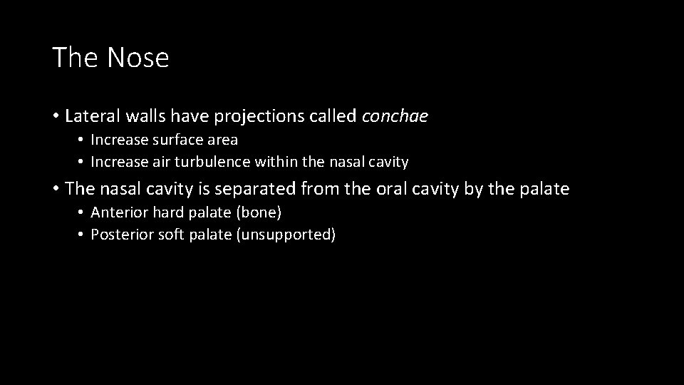 The Nose • Lateral walls have projections called conchae • Increase surface area •