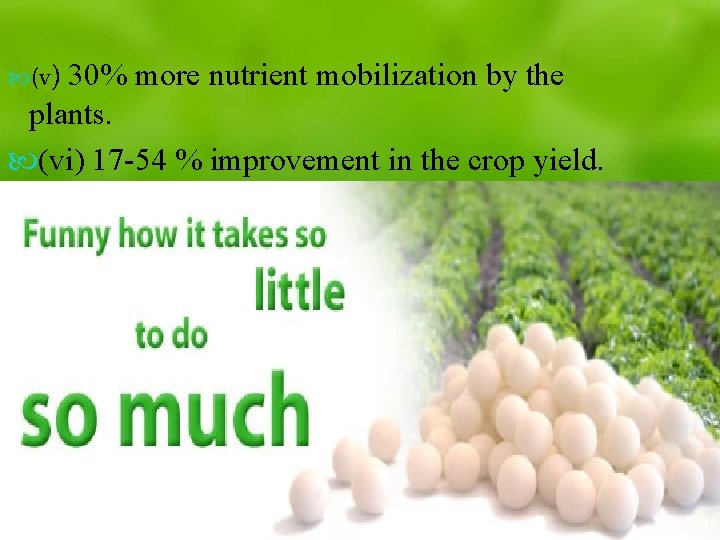 30% more nutrient mobilization by the plants. (vi) 17 -54 % improvement in the