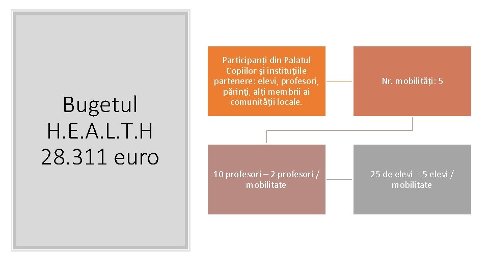 Bugetul H. E. A. L. T. H 28. 311 euro Participanți din Palatul Copiilor