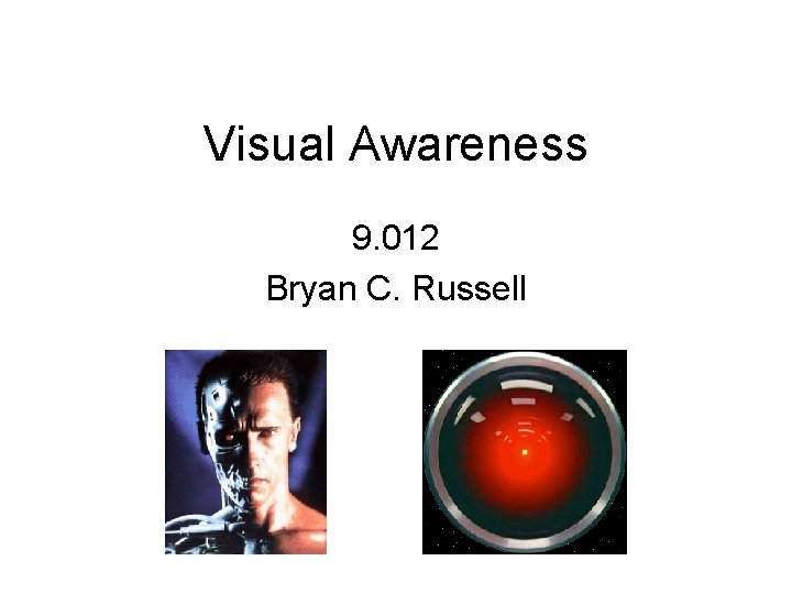 Visual Awareness 9. 012 Bryan C. Russell 