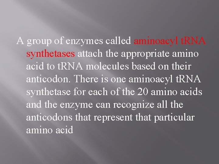 A group of enzymes called aminoacyl t. RNA synthetases attach the appropriate amino acid