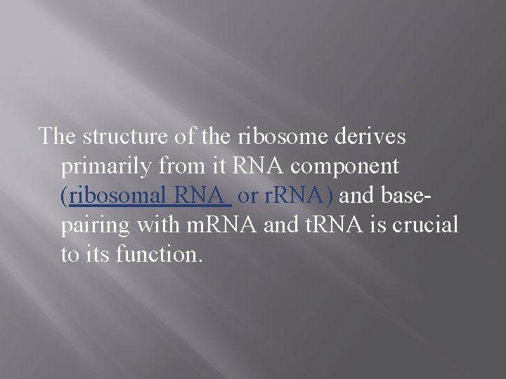 The structure of the ribosome derives primarily from it RNA component (ribosomal RNA or