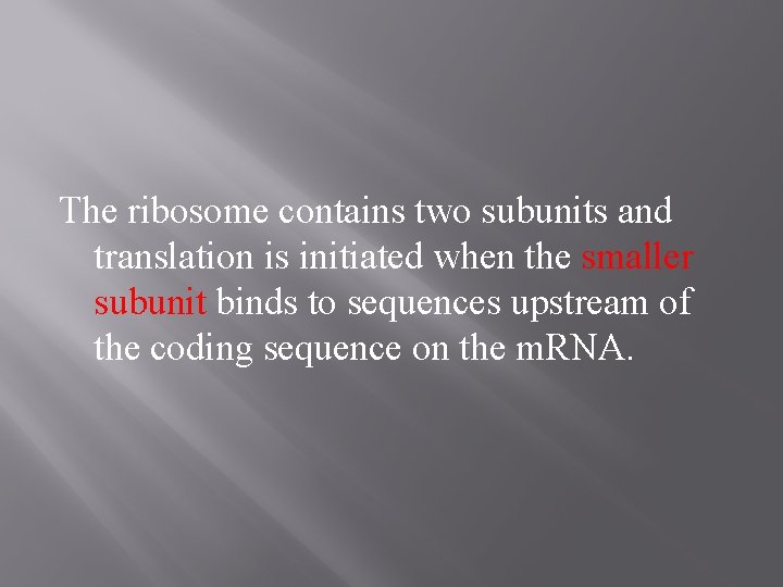 The ribosome contains two subunits and translation is initiated when the smaller subunit binds