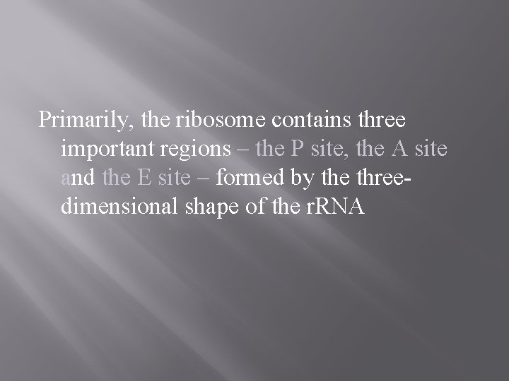 Primarily, the ribosome contains three important regions – the P site, the A site