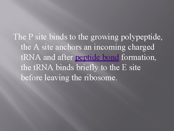 The P site binds to the growing polypeptide, the A site anchors an incoming