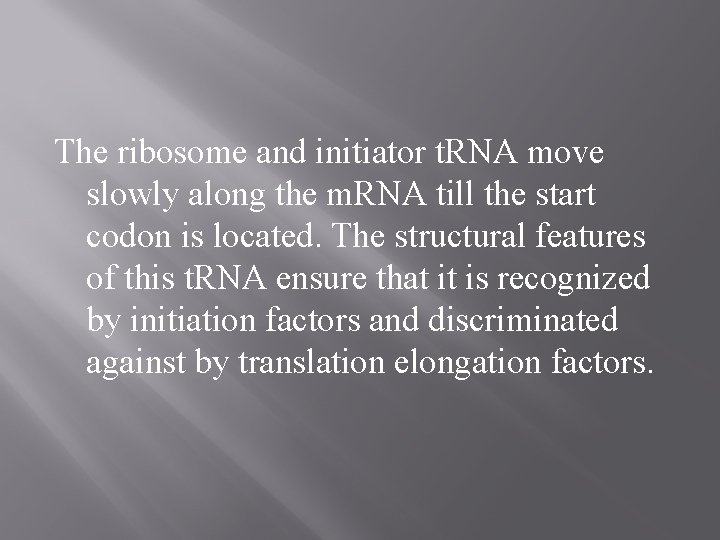 The ribosome and initiator t. RNA move slowly along the m. RNA till the