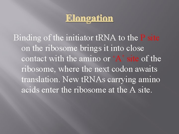 Elongation Binding of the initiator t. RNA to the P site on the ribosome