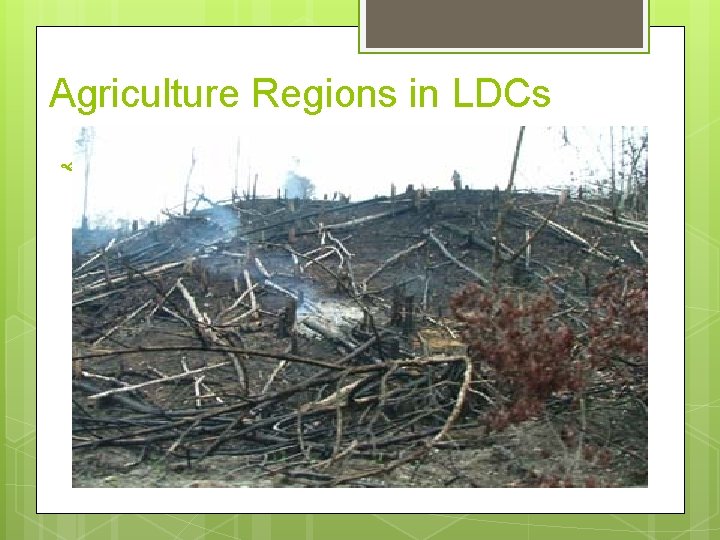 Agriculture Regions in LDCs Shiftng Cultivation: in rainforests Slash and Burn: clear land by