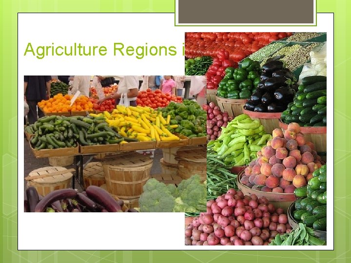 Agriculture Regions in MDCs Truck Farming – commercial gardening and fruit farming American SE