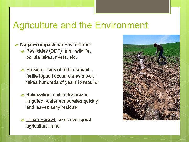 Agriculture and the Environment Negative impacts on Environment Pesticides (DDT) harm wildlife, pollute lakes,