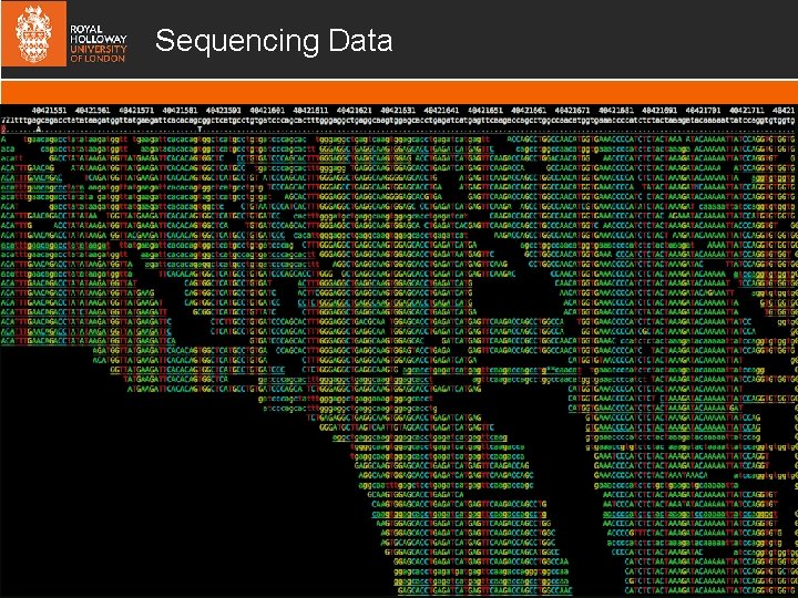 Sequencing Data 