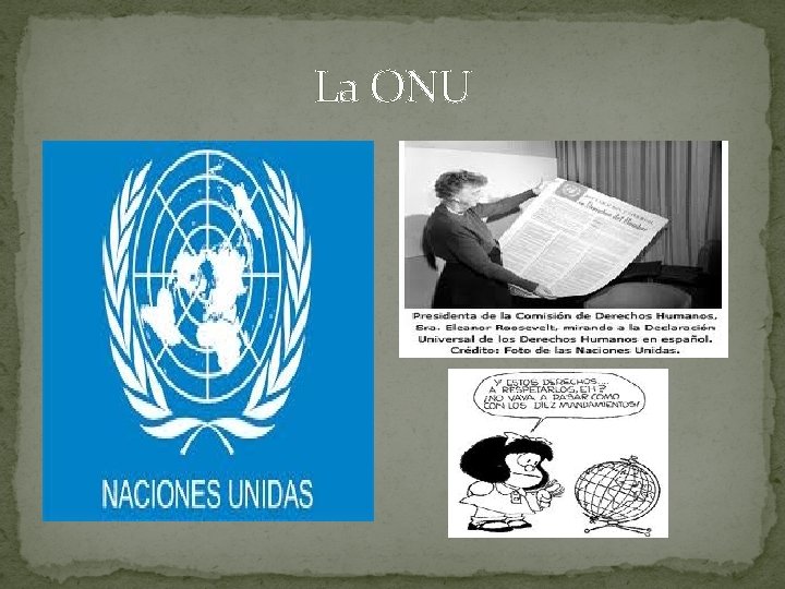 La ONU 