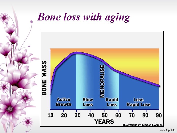 Bone loss with aging 