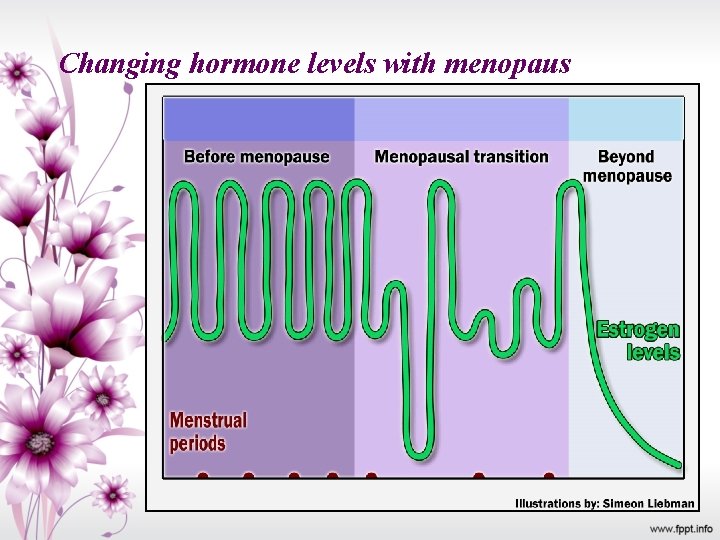 Changing hormone levels with menopaus 