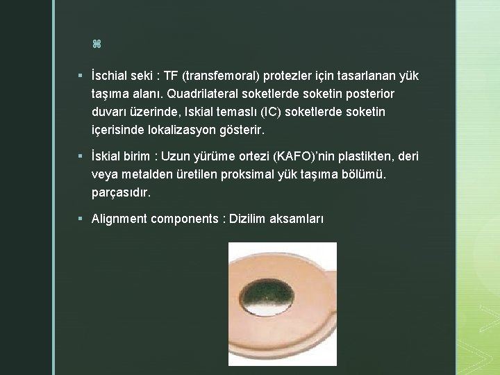 z § İschial seki : TF (transfemoral) protezler için tasarlanan yük taşıma alanı. Quadrilateral