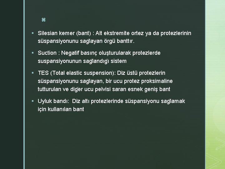 z § Silesian kemer (bant) : Alt ekstremite ortez ya da protezlerinin süspansiyonunu sag