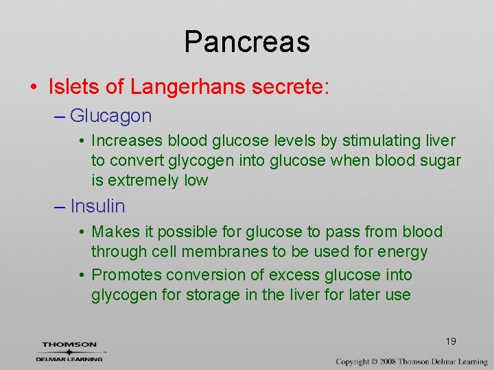 Pancreas • Islets of Langerhans secrete: – Glucagon • Increases blood glucose levels by