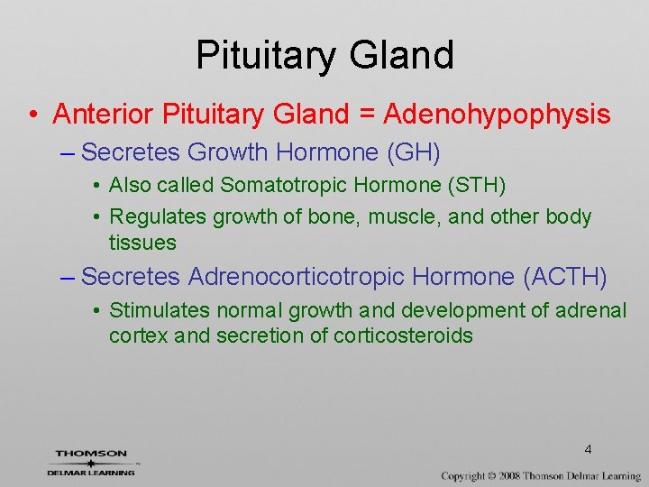 Pituitary Gland • Anterior Pituitary Gland = Adenohypophysis – Secretes Growth Hormone (GH) •