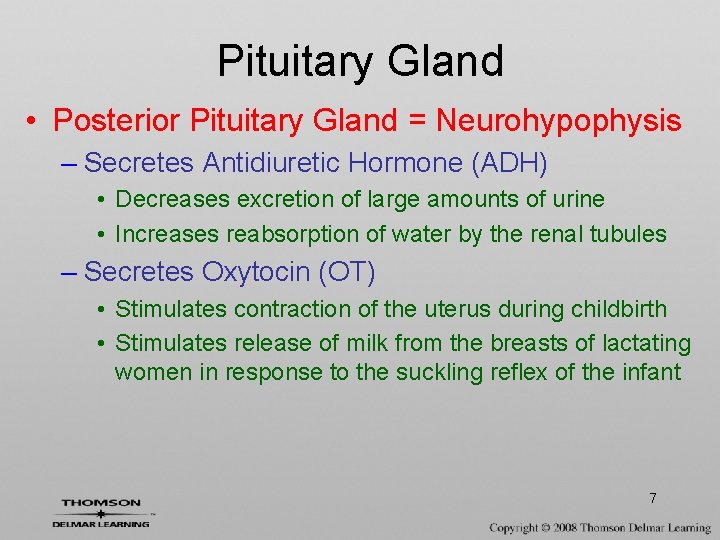 Pituitary Gland • Posterior Pituitary Gland = Neurohypophysis – Secretes Antidiuretic Hormone (ADH) •