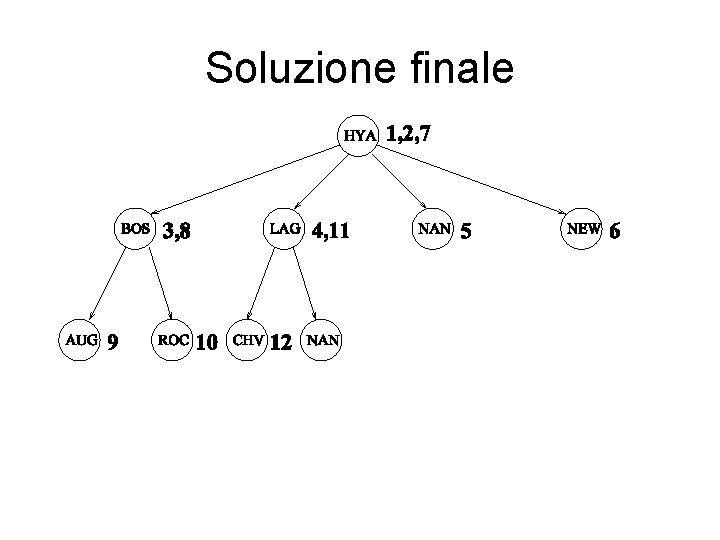 Soluzione finale 