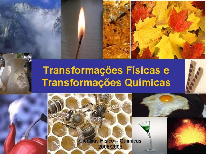 Transformações Físicas e Transformações Químicas Ciências Físico – Químicas 2008/2009 