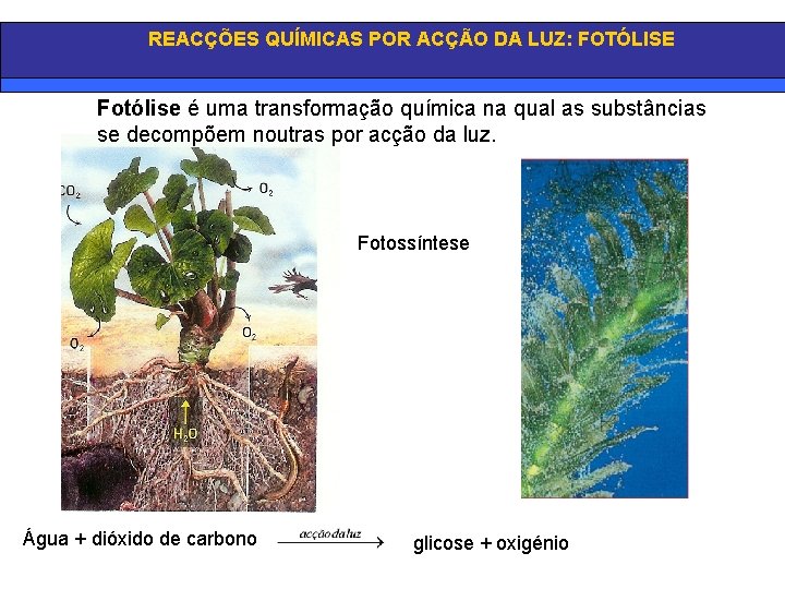 REACÇÕES QUÍMICAS POR ACÇÃO DA LUZ: FOTÓLISE Fotólise é uma transformação química na qual