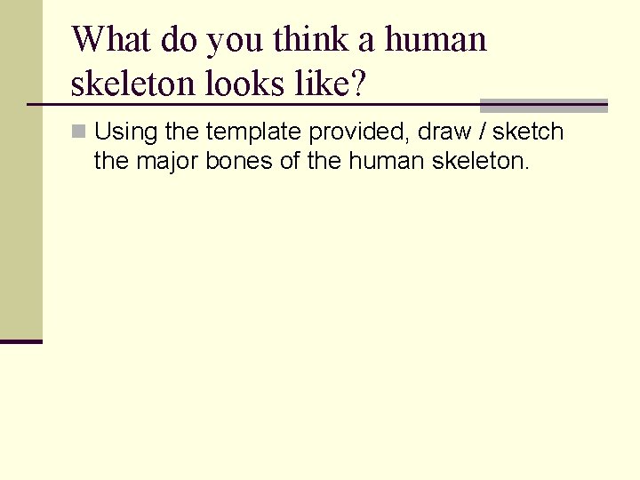 What do you think a human skeleton looks like? n Using the template provided,
