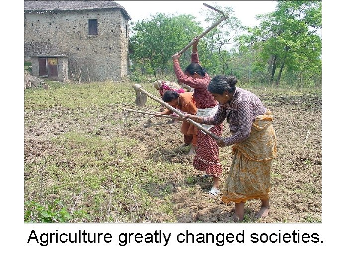 Agriculture greatly changed societies. 