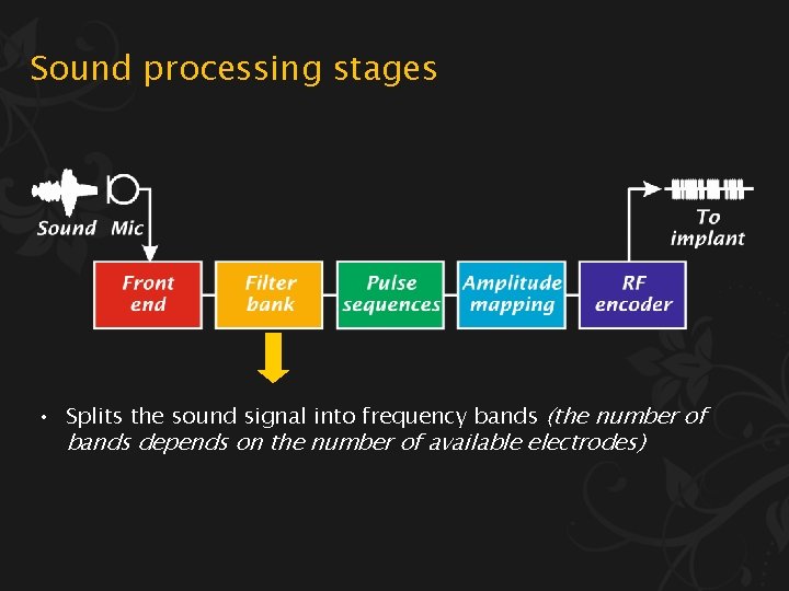 Sound processing stages • Splits the sound signal into frequency bands (the number of