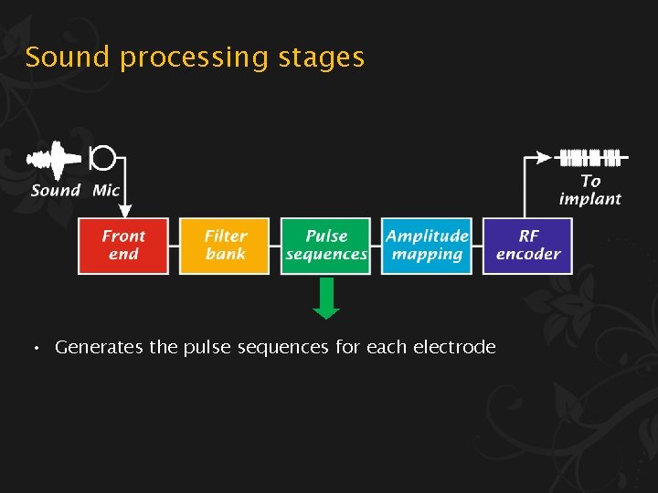 Sound processing stages • Generates the pulse sequences for each electrode 